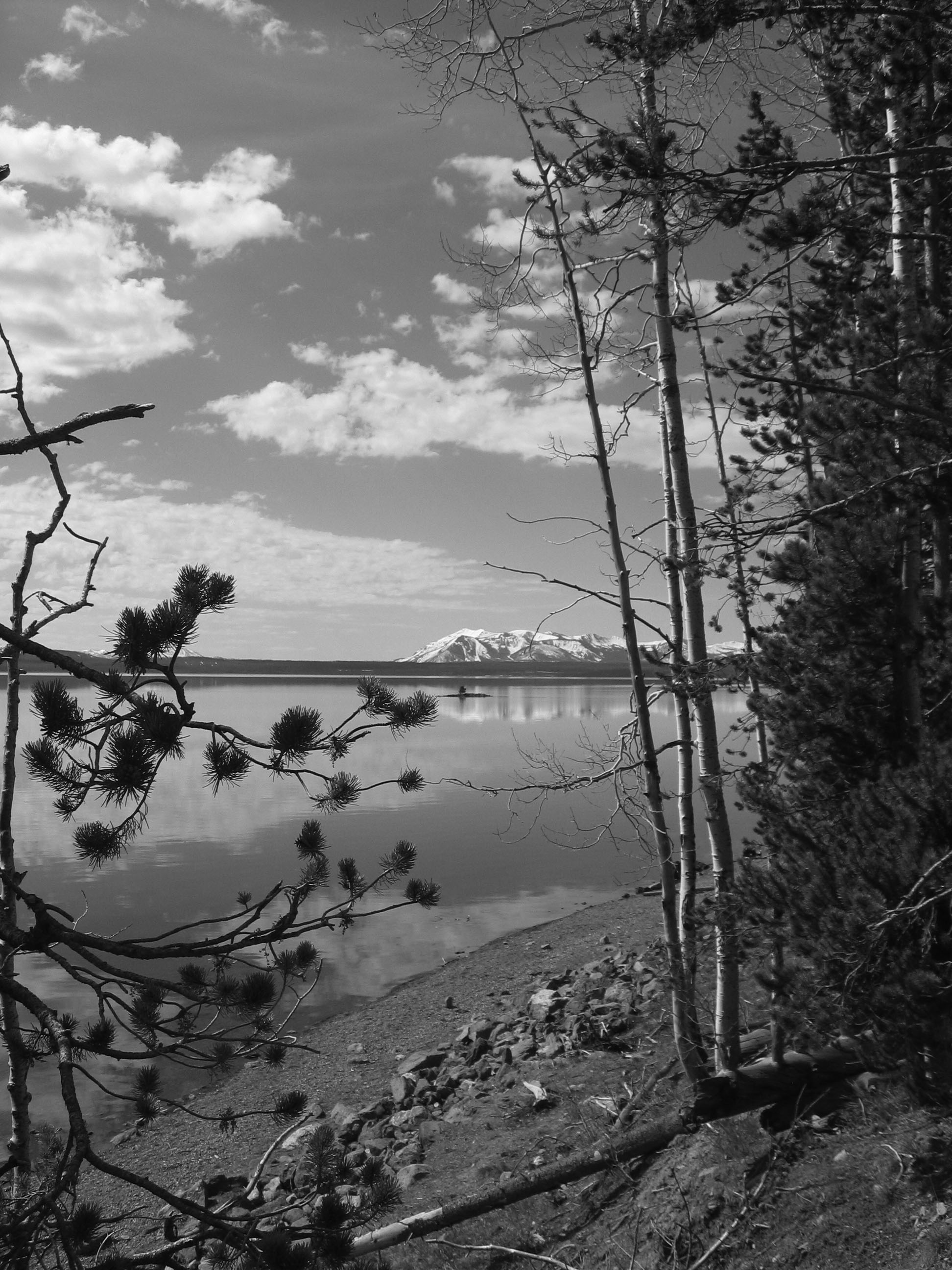 yellowstonelakescenicps.jpg